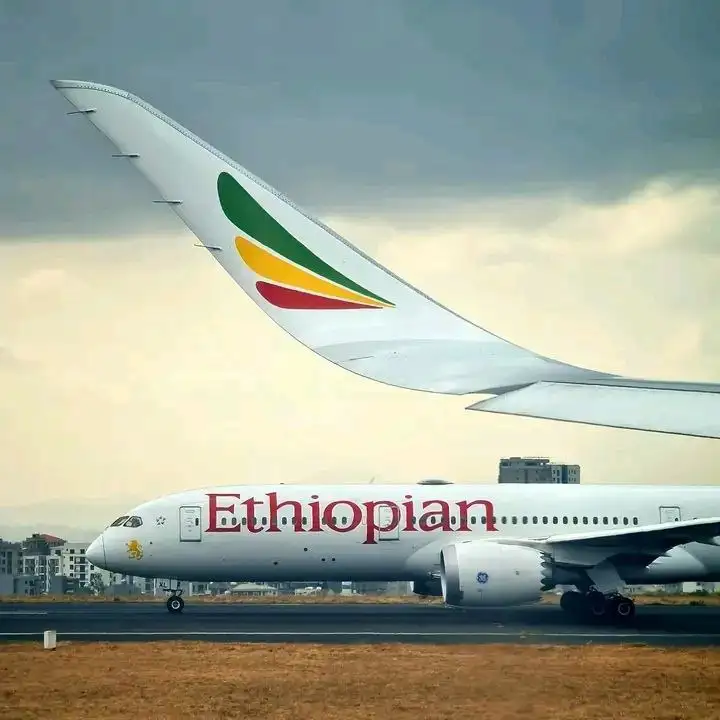 The Importance of Sleep: Tips for Better Rest and Recovery